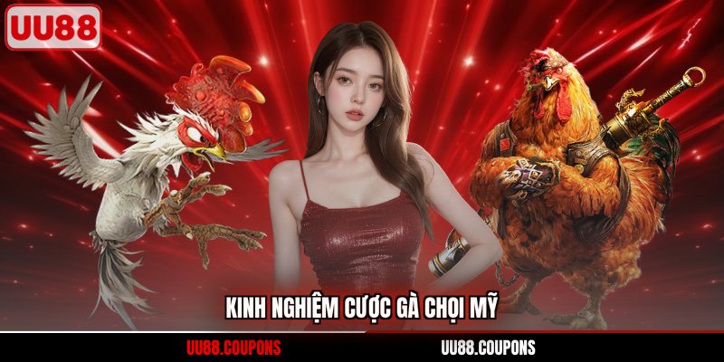 Kinh nghiệm cược gà chọi Mỹ